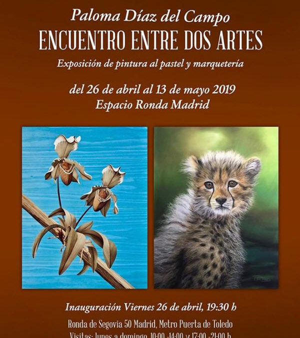 EXPOSICIÓN PALOMA DÍAZ DEL CAMPO EN MADRID